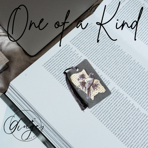 Black Bird Dictionary Acrylic Bookmark