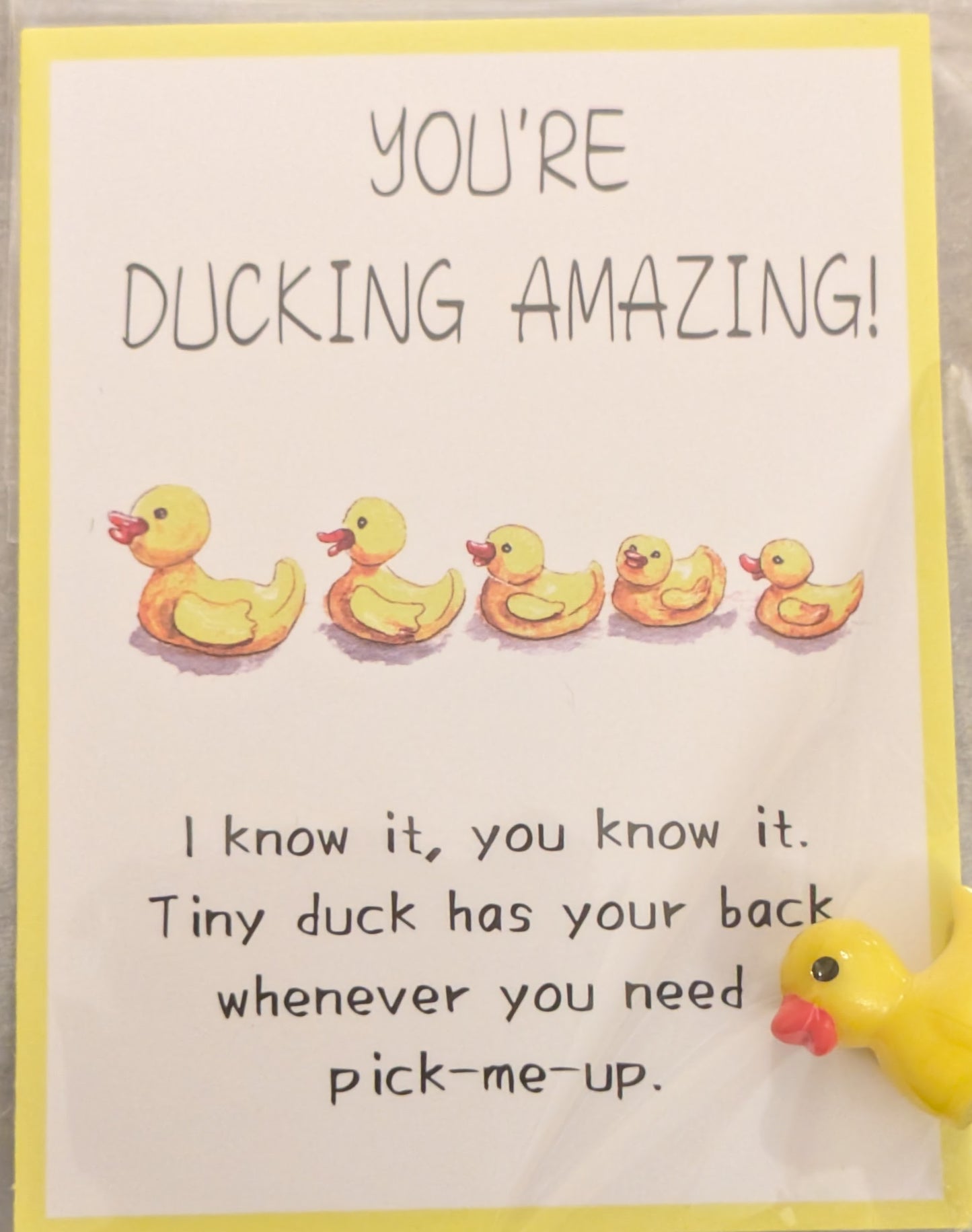 You're Ducking Amazing Pocket Hug