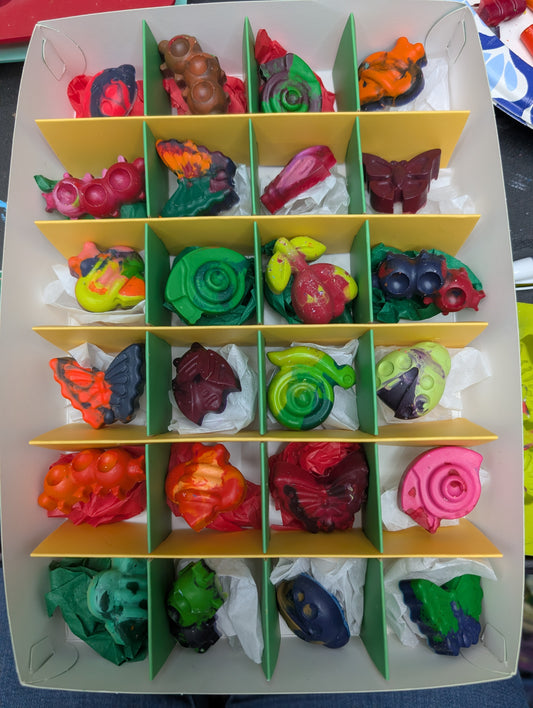 24-Day Recycled Crayon Advent Calendar – Bugs