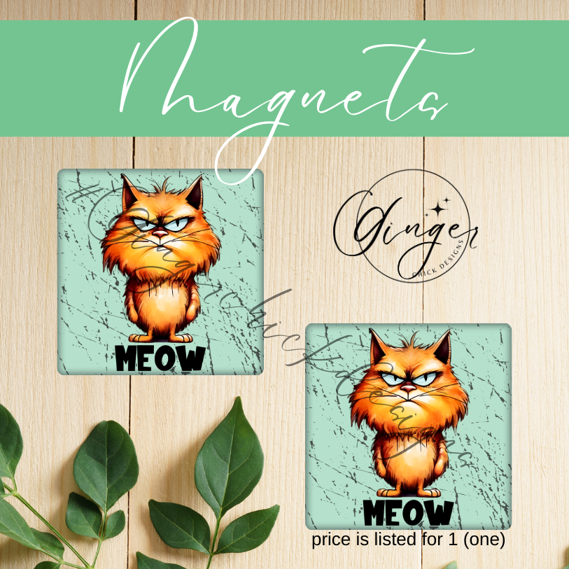 Angry Cat 2x2 Magnet