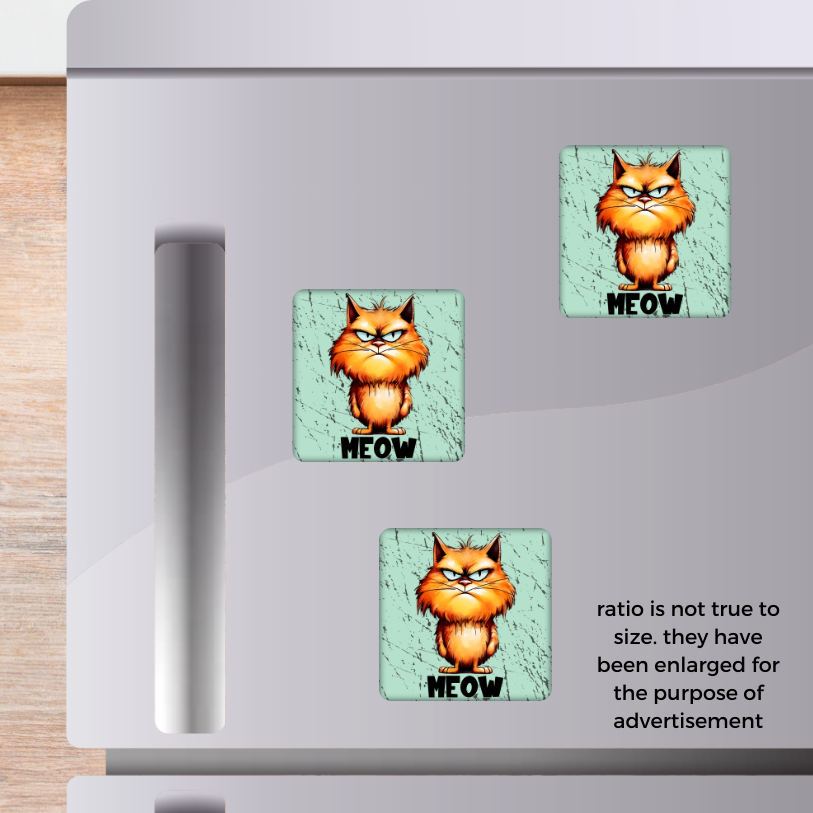 Angry Cat 2x2 Magnet