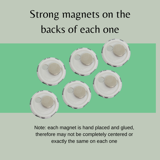 Rainbow Flowers Button Magnets