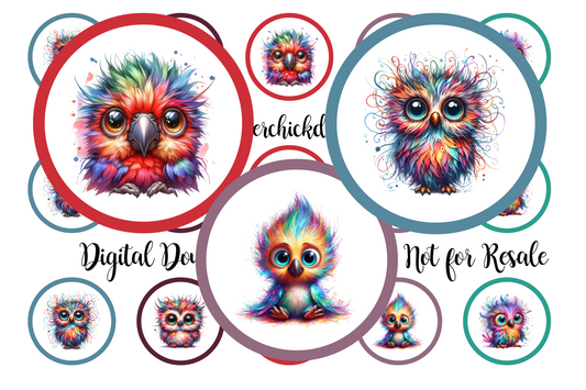 Owls Bottle Cap Images