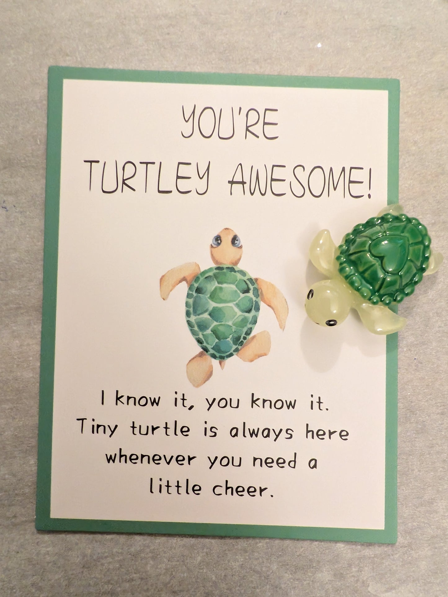 You're Turtley Awesome Pocket Hug