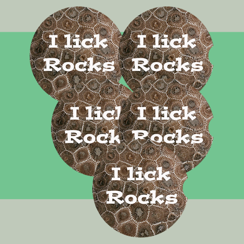 I Lick Rocks Car Coaster