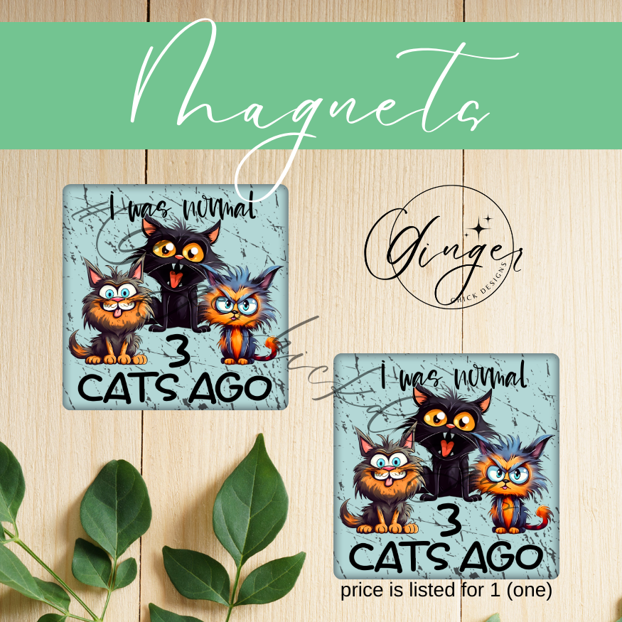 I was normal 3 cats ago 2x2 Magnet