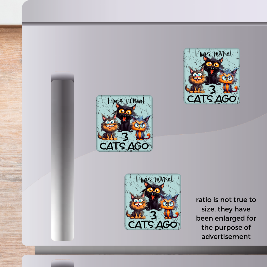 I was normal 3 cats ago 2x2 Magnet