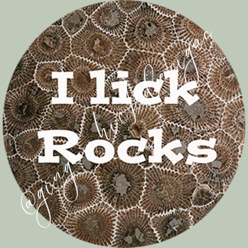 I Lick Rocks Car Coaster